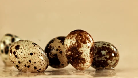 Quail eggs fall on a wet table. Filmed on a high-speed camera at 1000 fps. Stock Footage 322762415