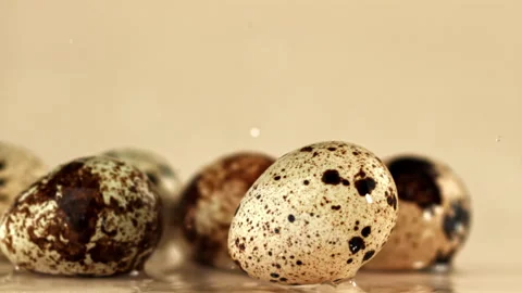 Quail eggs fall on a wet table. Filmed on a high-speed camera at 1000 fps. Stock Footage 322773075