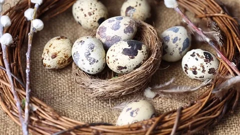 Quail eggs, feathers, willow branches on a wooden table. Vintage effect Stock Footage 111461770