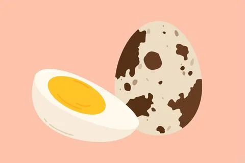 Quail eggs. Flat cartoon vector illustration Stock Illustration