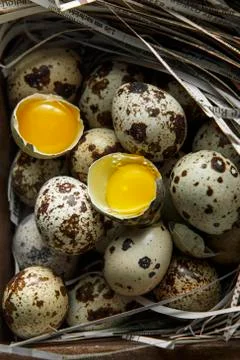 Quail eggs. Flat lay composition with small quail eggs on the natural wooden  Stock Photos