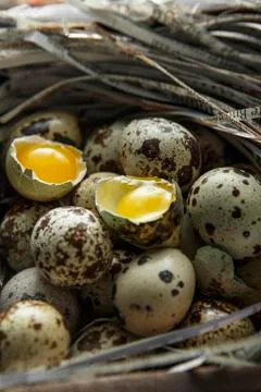 Quail eggs. Flat lay composition with small quail eggs on the natural wooden  Stock Photos