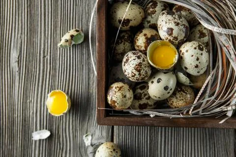 Quail eggs. Flat lay composition with small quail eggs on the natural wooden  Stock Photos
