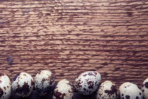 Quail eggs. Flat lay composition with small quail eggs on the natural wooden  Stock Photos