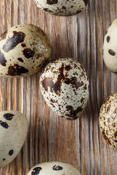 Quail eggs. Flat lay composition with small quail eggs on the natural wooden  Stock Photos