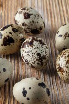 Quail eggs. Flat lay composition with small quail eggs on the natural wooden  Stock Photos