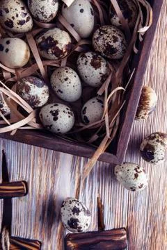 Quail eggs. Flat lay composition with small quail eggs on the natural wooden  Stock Photos