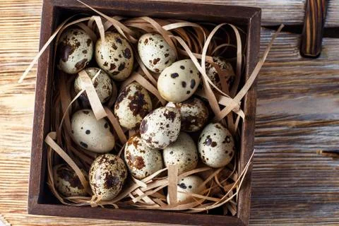 Quail eggs. Flat lay composition with small quail eggs in the wooden box on t Stock Photos