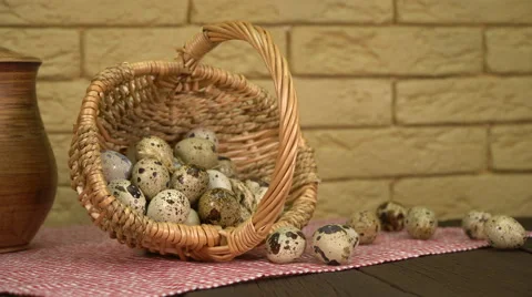 Quail Eggs Stock Footage 63348805