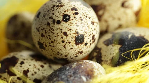 Quail eggs Video stock 87215586