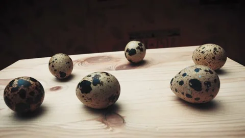 Quail eggs Video stock 132719698