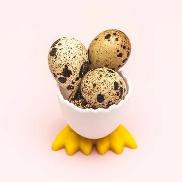 Quail eggs in funny plastic container Stock Photos