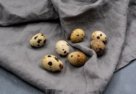 Quail eggs on a gray background. Proper nutrition. Diet food Stock Photos