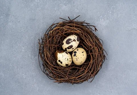 Quail eggs on a gray background. Proper nutrition. Diet food Stock Photos