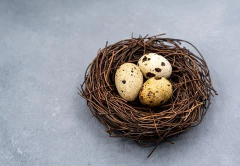 Quail eggs on a gray background. Proper nutrition. Diet food Foto stock
