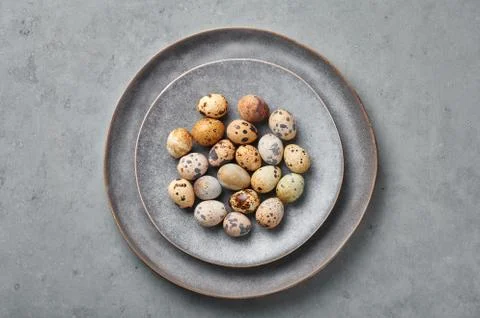 Quail Eggs on gray ceramic plate on grey concrete rough background. Little sp Stock Photos