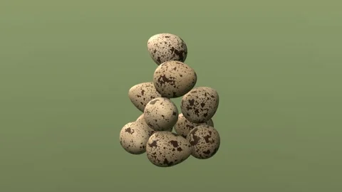 Quail eggs on green background. 3d rendering Stock Footage 342000736