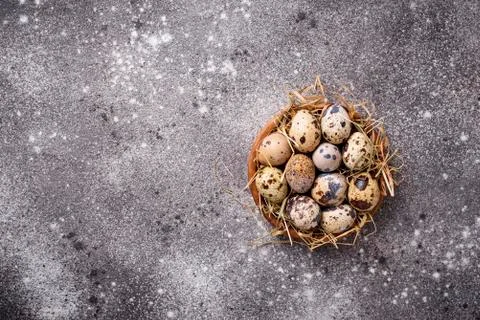 Quail eggs on grey  background Stock Photos