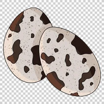 Quail eggs illustration  Stock Illustration
