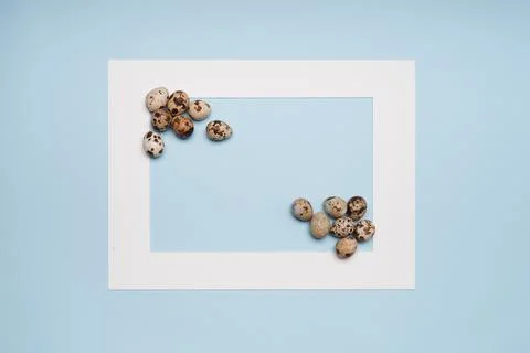 Quail Eggs inside white frame on blue background Stock Photos