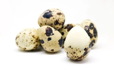 Quail eggs islated on white background. Stock Photos