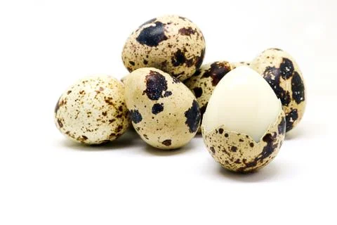 Quail eggs islated on white background. Foto stock
