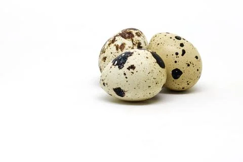 Quail eggs islated on white background. Foto stock