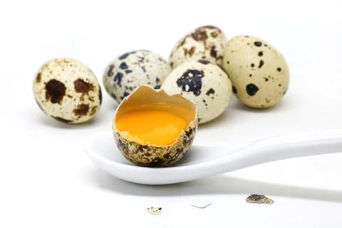 Quail eggs islated on white background. Stock Photos