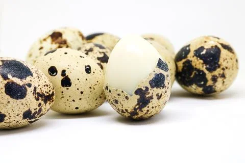 Quail eggs islated on white background. Stock Photos