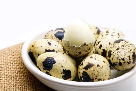Quail eggs islated on white background. Stock Photos