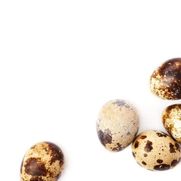 Quail eggs isolated over white background Stock Photos