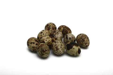 Quail eggs isolated Stock Photos
