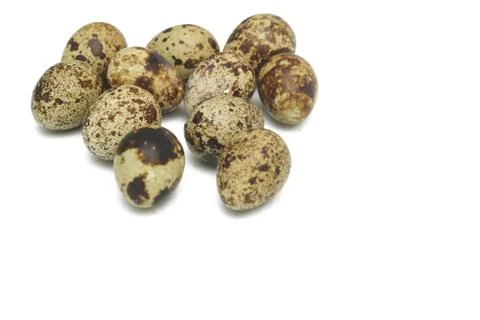 Quail eggs isolated Stock Photos