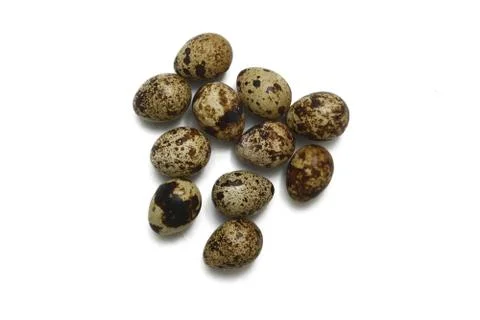 Quail eggs isolated Stock Photos