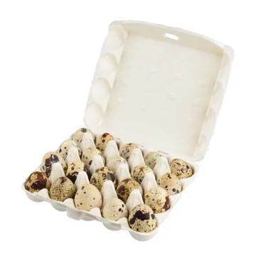 Quail eggs isolated Stock Photos