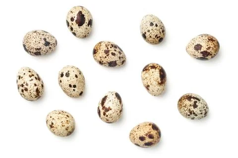 Quail Eggs Isolated on White Background Stock Photos