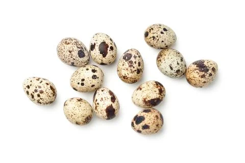Quail Eggs Isolated on White Background Stock Photos