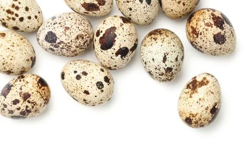 Quail Eggs Isolated on White Background Stock Photos