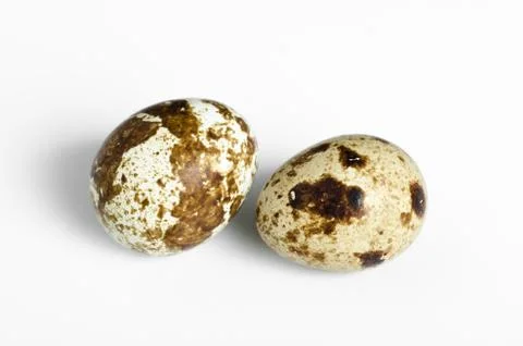 Quail eggs isolated on white background Stock Photos