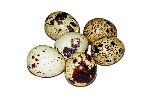 Quail eggs isolated on white background Stock Photos