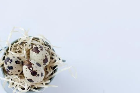 Quail eggs isolated on white . easter background 스톡 사진