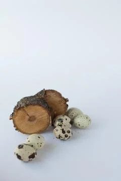 Quail eggs isolated on white . easter background 스톡 사진