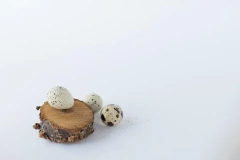Quail eggs isolated on white . easter background 스톡 사진