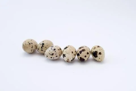 Quail eggs isolated on white . easter background. 스톡 사진