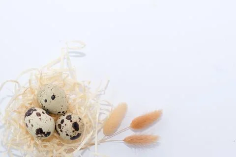 Quail eggs isolated on white . easter background 스톡 사진