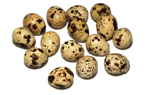 Quail eggs isolated on white 스톡 사진