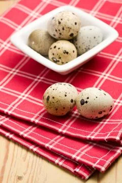 Quail eggs on kitchen table Stock Photos