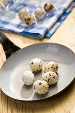 Quail eggs on kitchen table Stock Photos