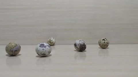 Quail eggs laid on flat surface Stock Footage 145926079