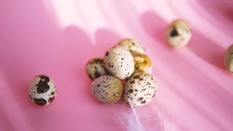 Quail eggs lie on a pink background lit by sunlight. Stock Footage 122988201